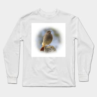 Black redstart Long Sleeve T-Shirt